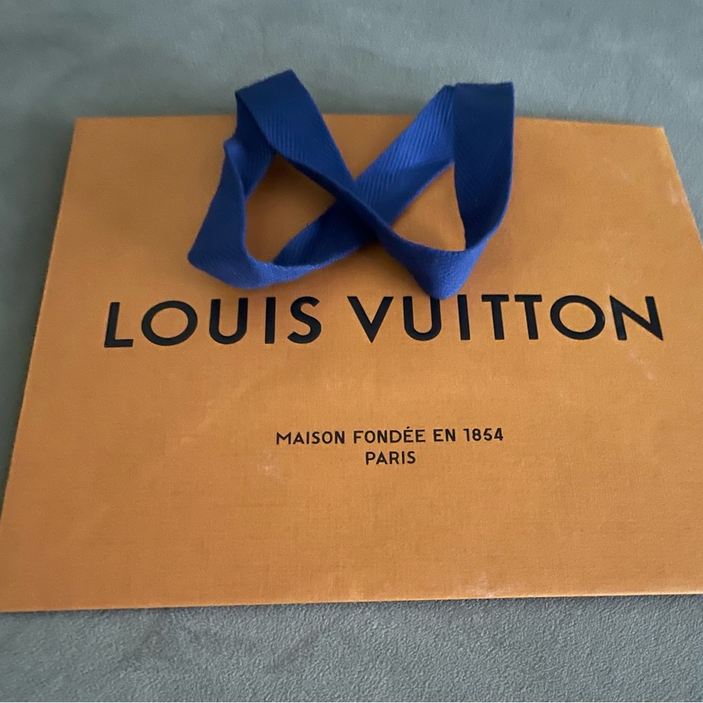 LOUIS VUITTON Empty Shopping Bag - Picture 5 of 7